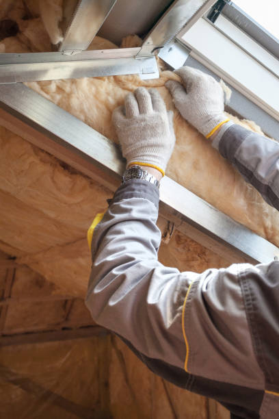 Best Wall Insulation Contractor  in Brices Creek, NC