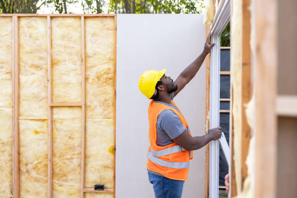 Best Local Insulation Services  in Brices Creek, NC